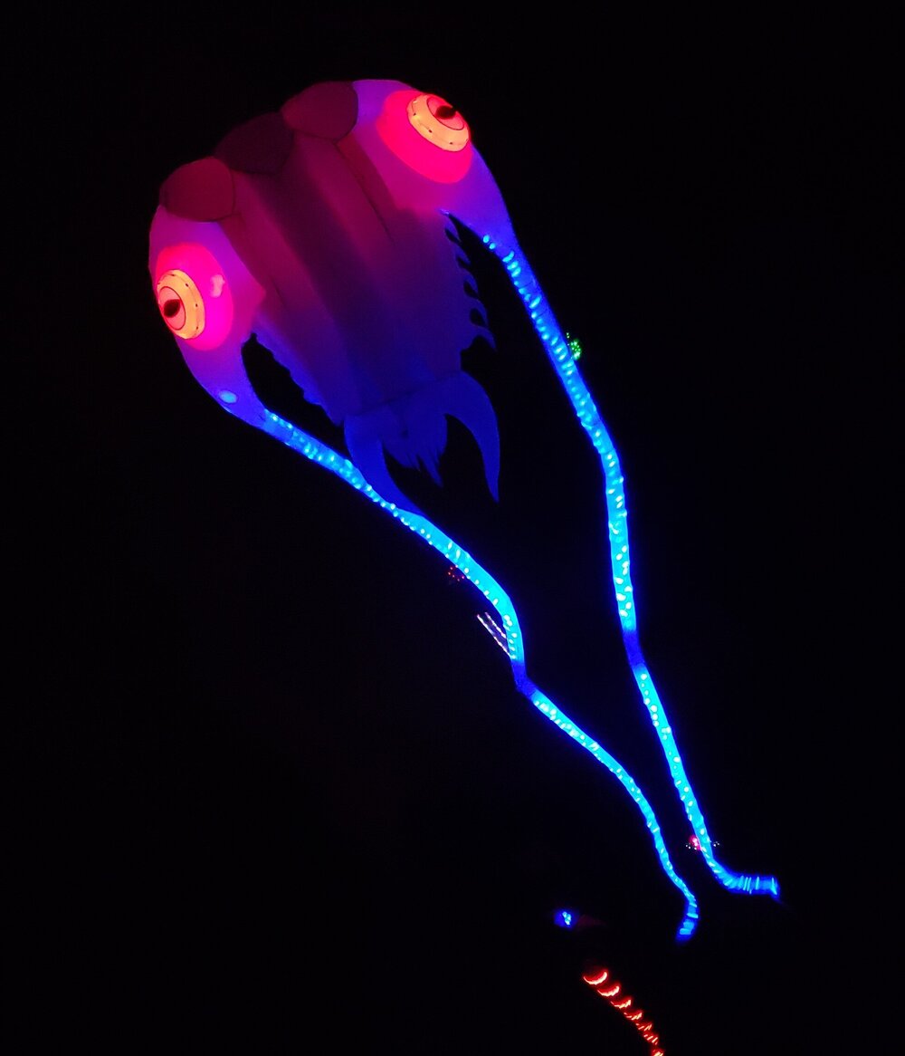 Kite at Night